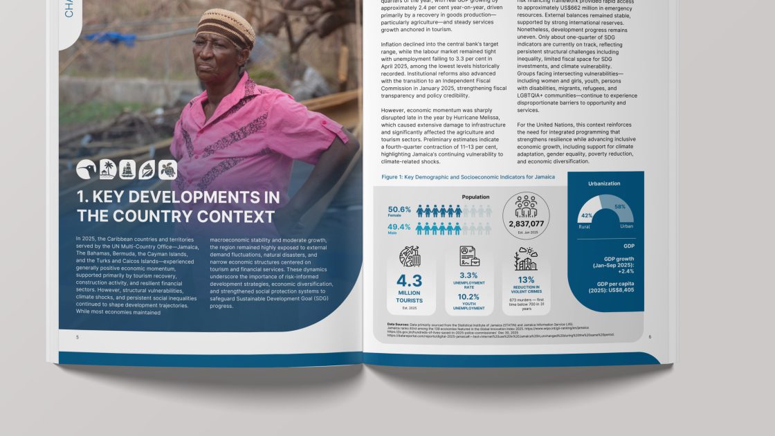 United Nations 2025 Annual Results Report