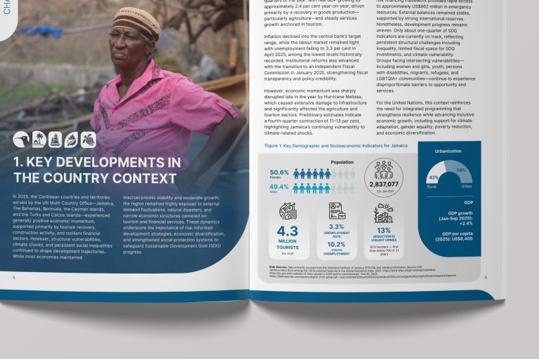 United Nations 2025 Annual Results Report